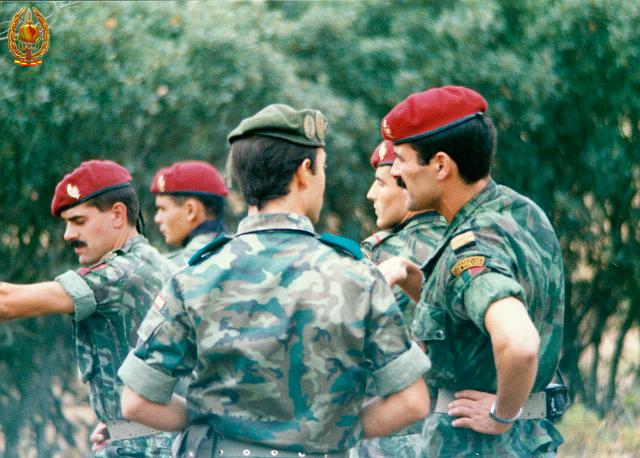 Maniobras y Guerrillas000.jpg